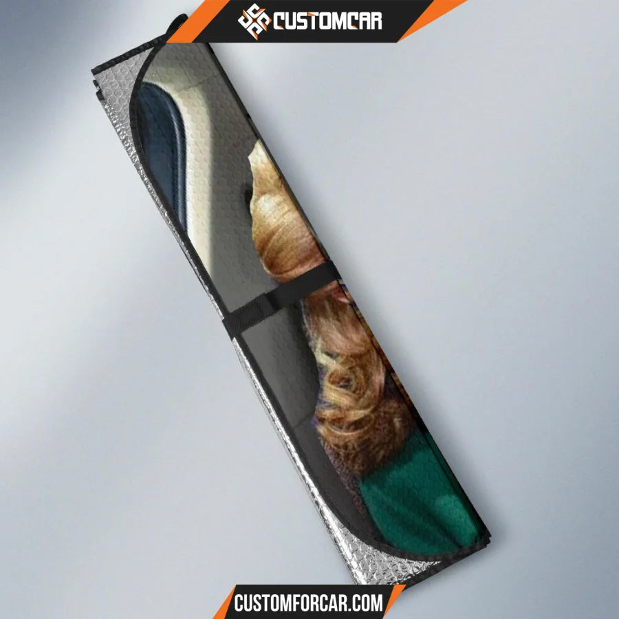 A Christmas Story Car Sun Shades Amazing Gifts T1221 Auto